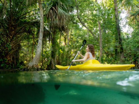 a woman in a yellow kayak rowing in a river through the trees