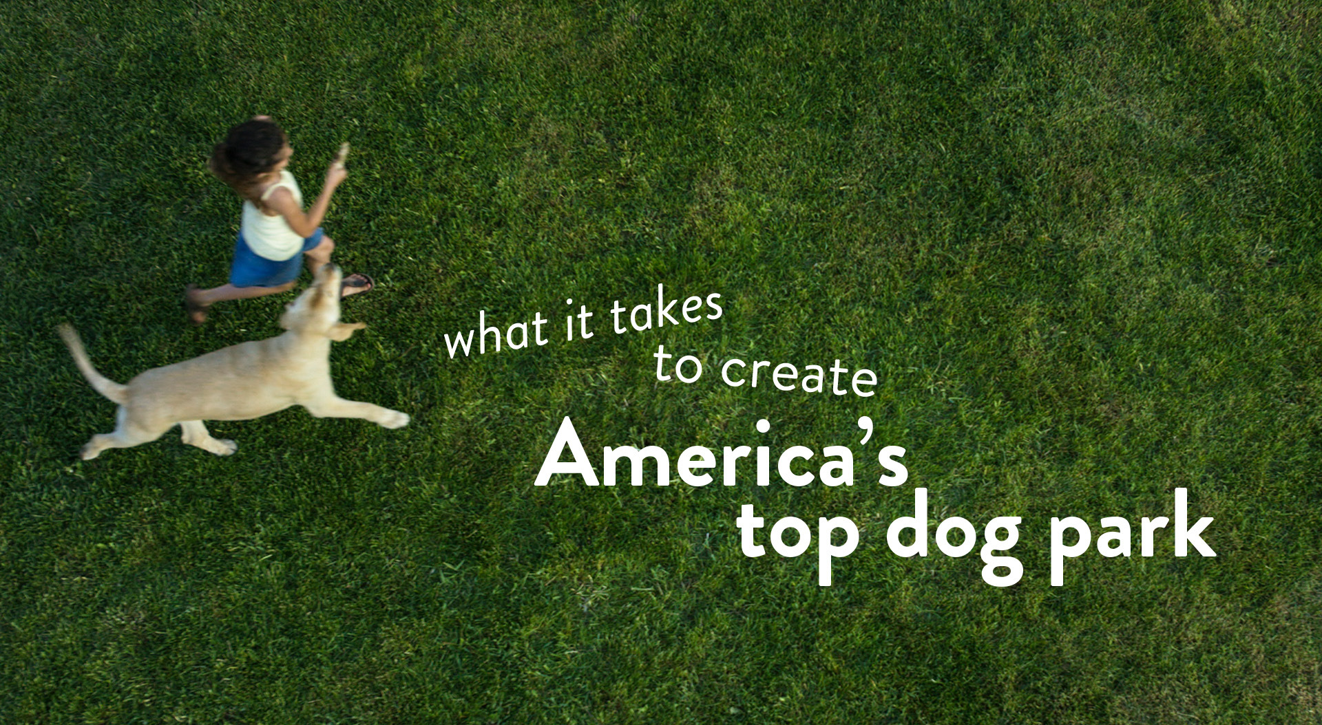 dog on grass with text what it takes to create America's top dog park