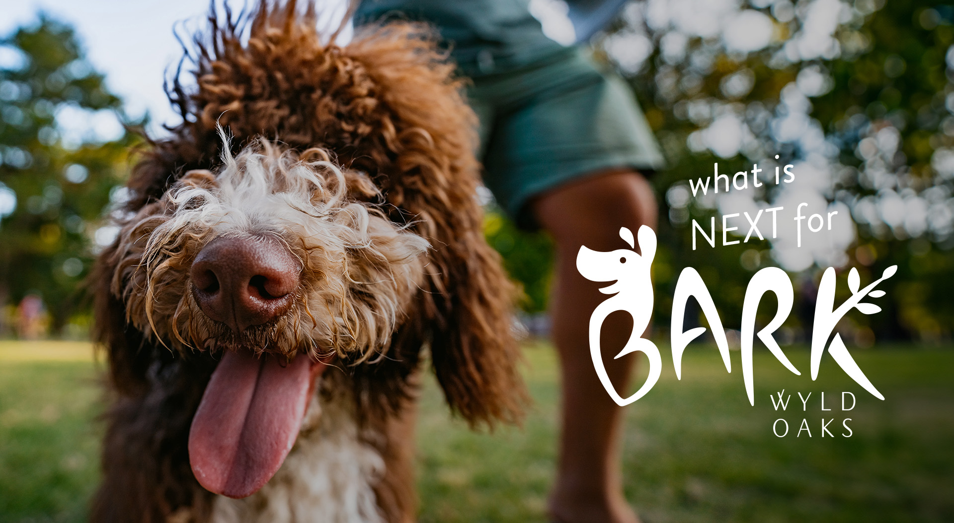 What is next for BARK at Wyld Oaks vision planning? America's top dog park